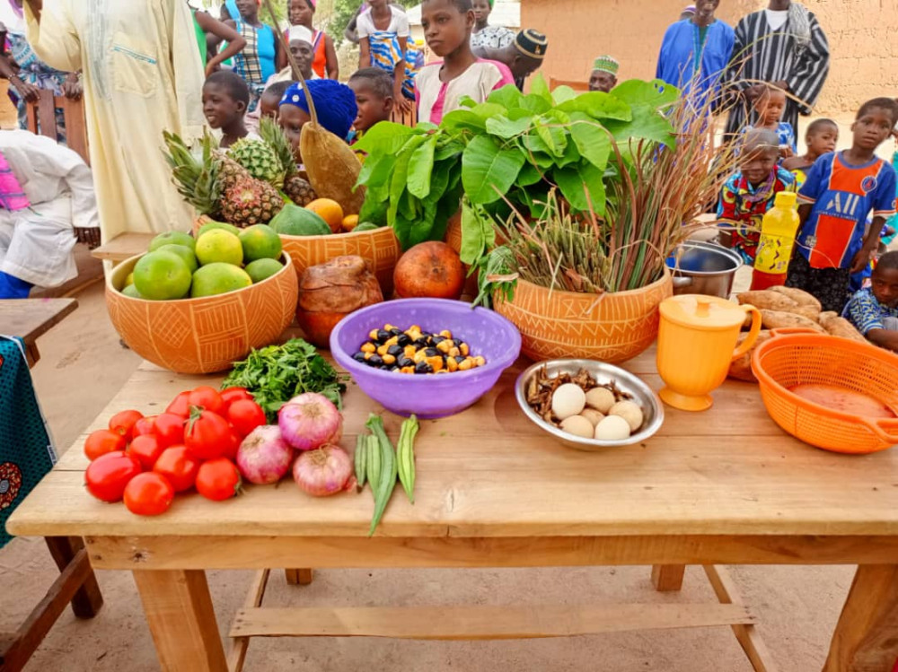 Promotion et consolidation des bonnes pratiques d'hygiène et d'assainissement et de l'alimentation du nourrisson et du jeune enfant